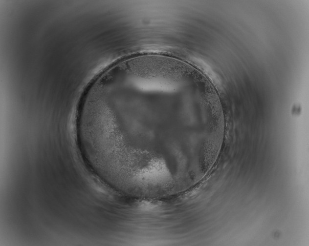 X0000103220346200808281413