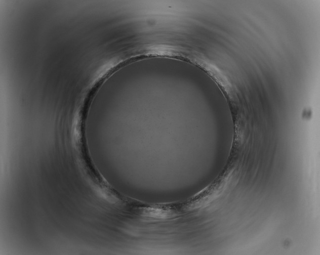 X0000103220347200808281413