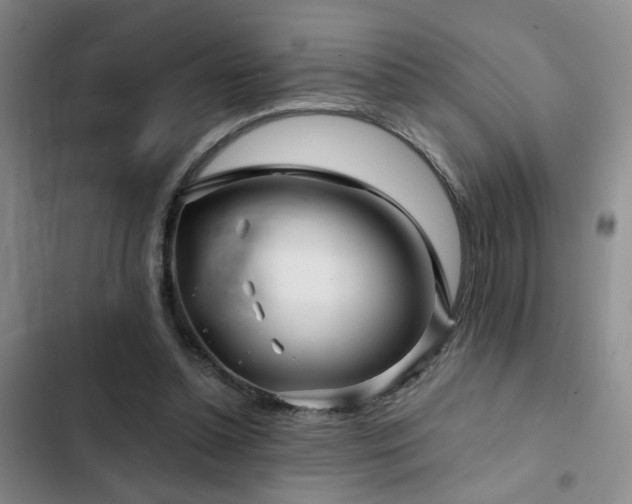 X0000103220348200808281413