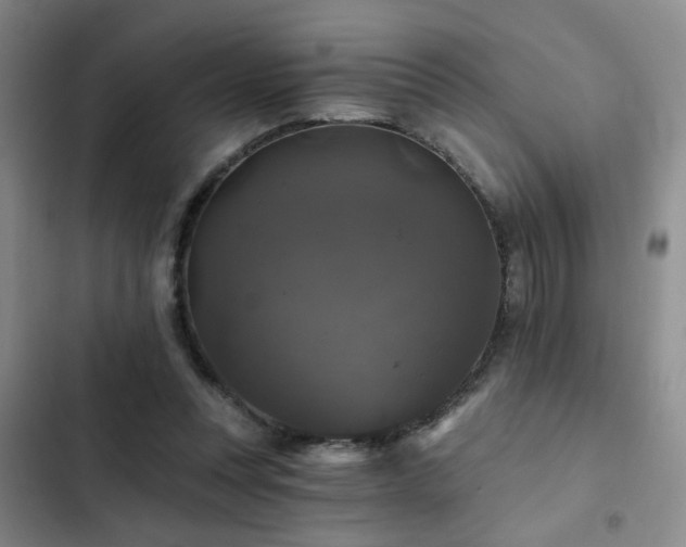 X0000103220351200808281413