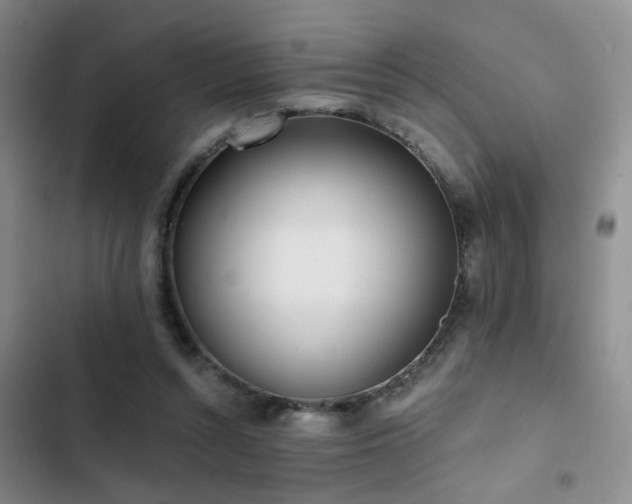 X0000103220352200808281413