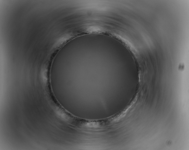 X0000103220353200808281413