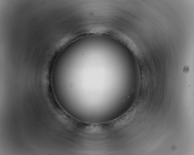 X0000103220354200808281413