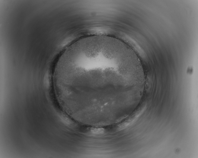 X0000103220355200808281413