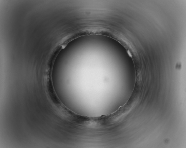 X0000103220356200808281413