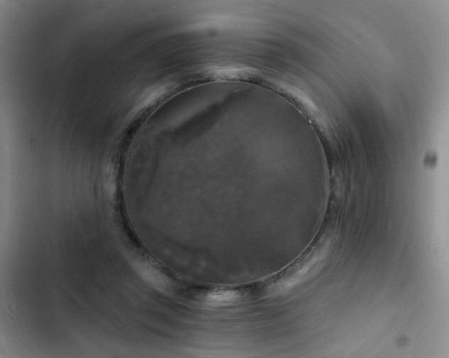 X0000103220357200808281413