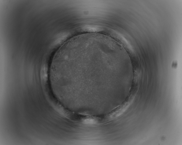 X0000103220358200808281413