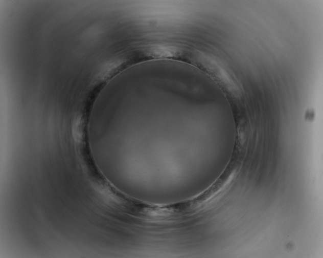 X0000103220359200808281413