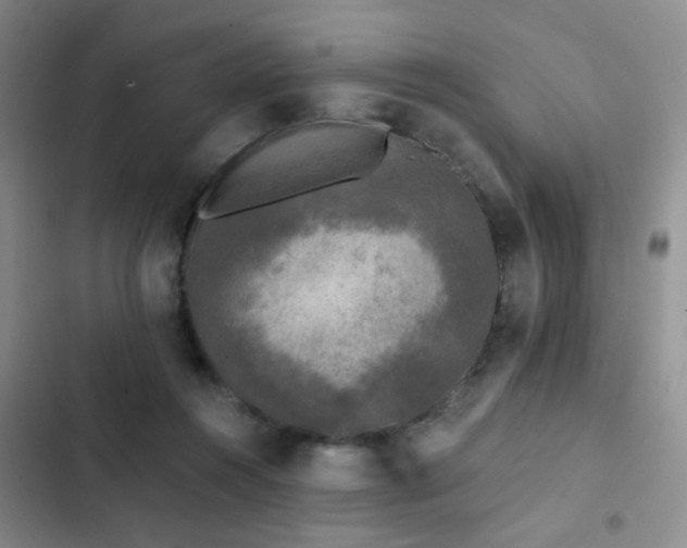 X0000103220360200808281413