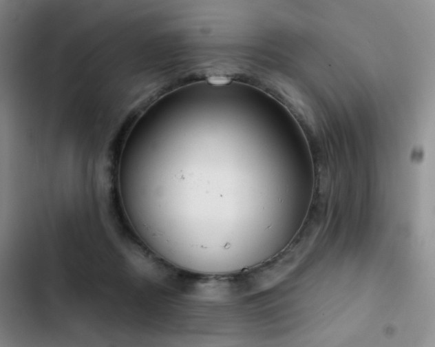 X0000103220362200808281413