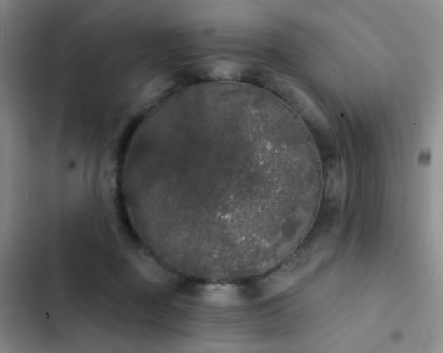 X0000103220363200808281413