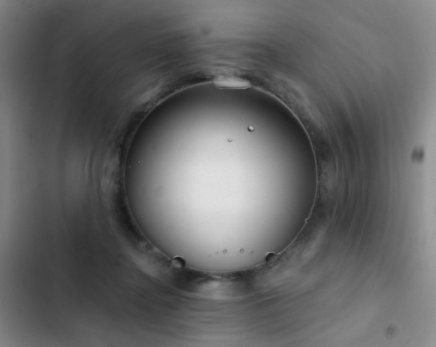 X0000103220364200808281413