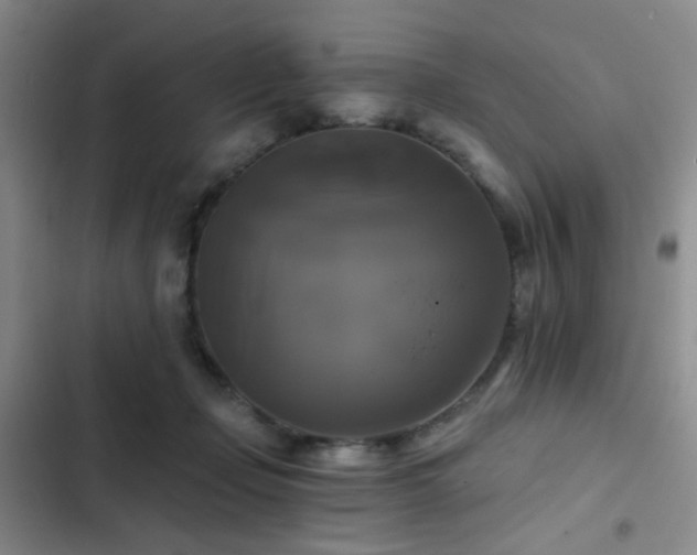 X0000103220365200808281413