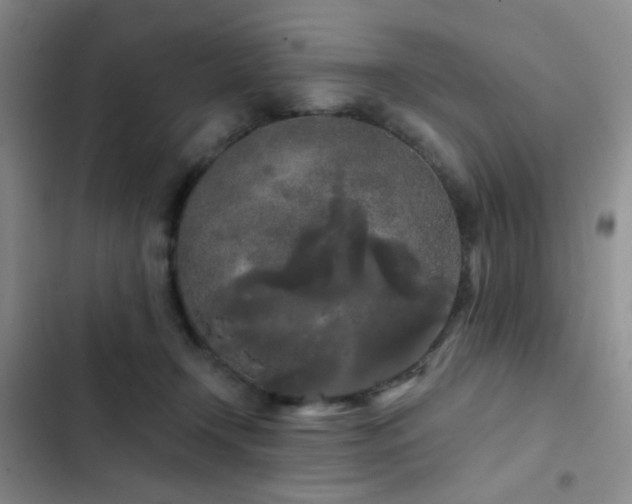 X0000103220366200808281413