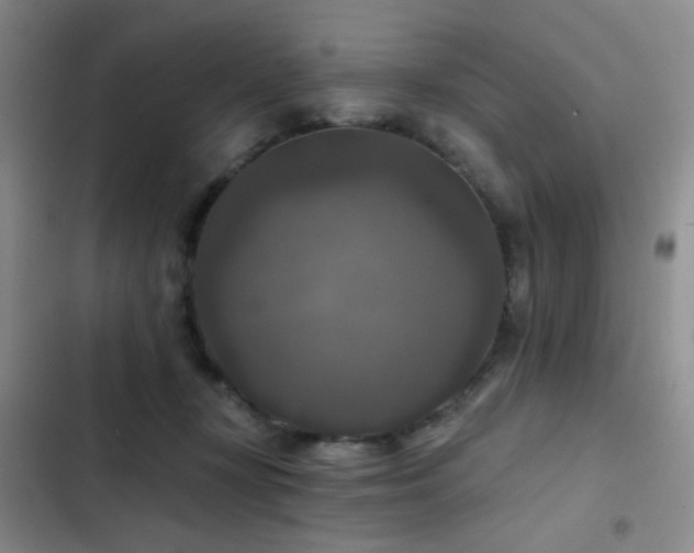 X0000103220367200808281413