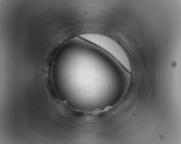 X0000103220368200808281413