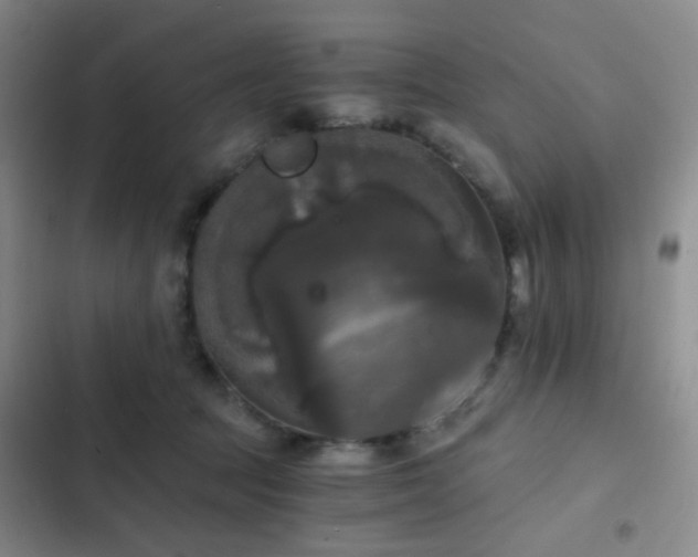 X0000103220369200808281413