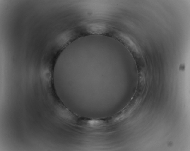 X0000103220371200808281413