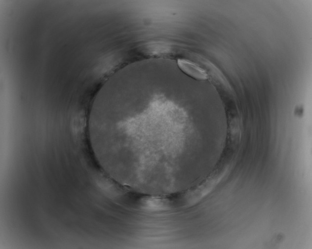 X0000103220372200808281413