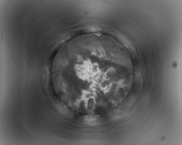 X0000103220373200808281413