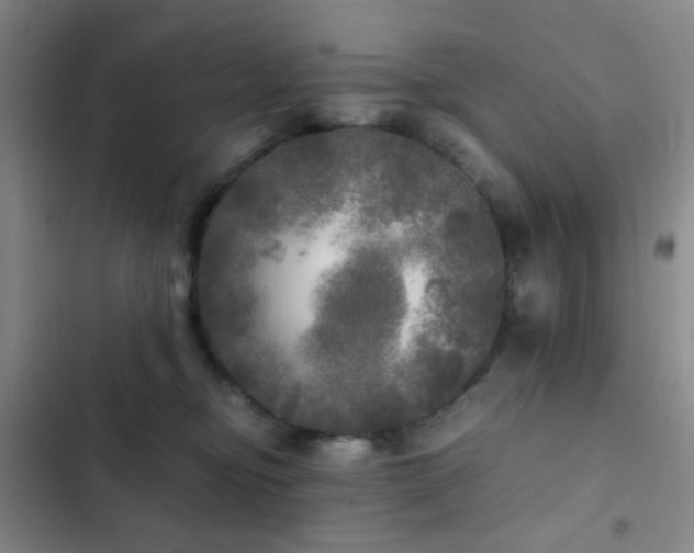 X0000103220374200808281413