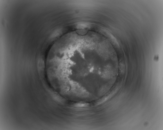 X0000103220375200808281413