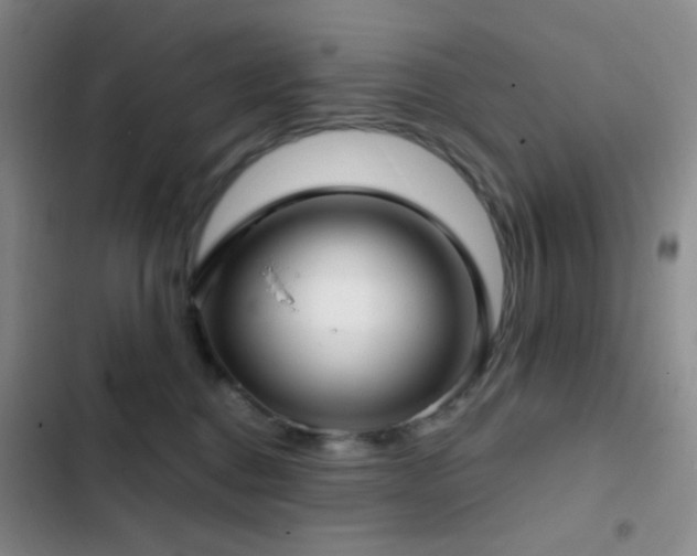 X0000103220376200808281413