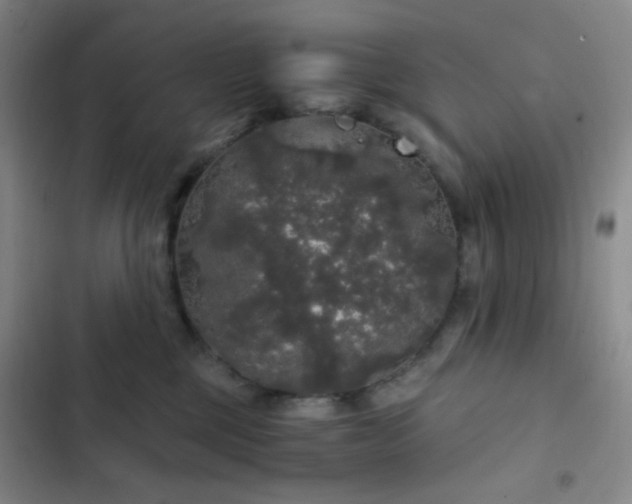 X0000103220377200808281413