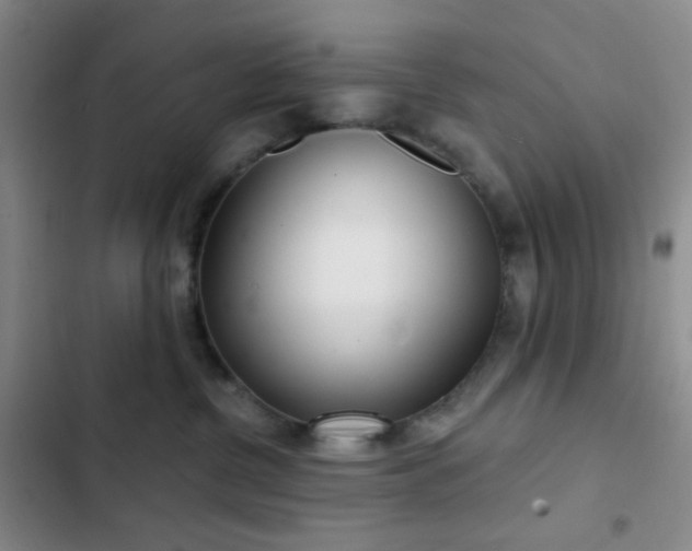 X0000103220380200808281413