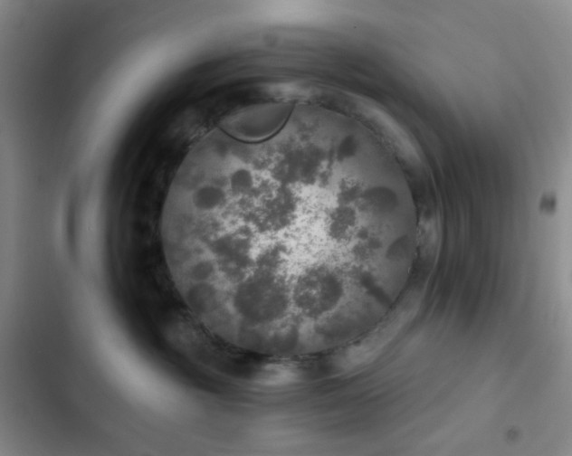 X0000103220381200808281413