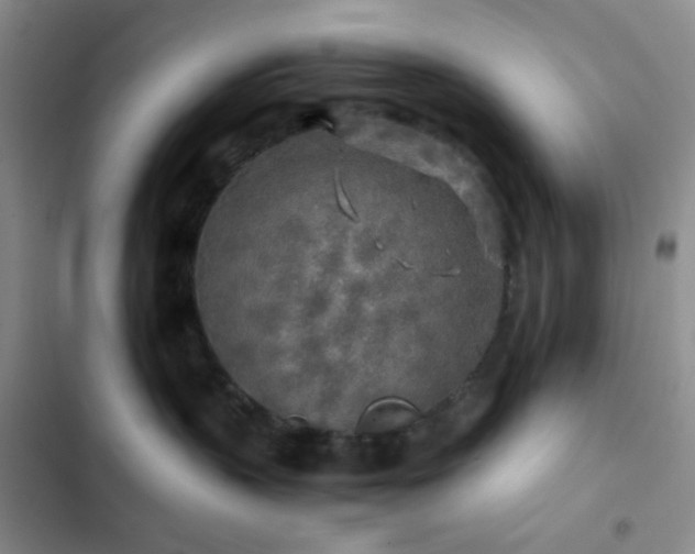 X0000103220383200808281413