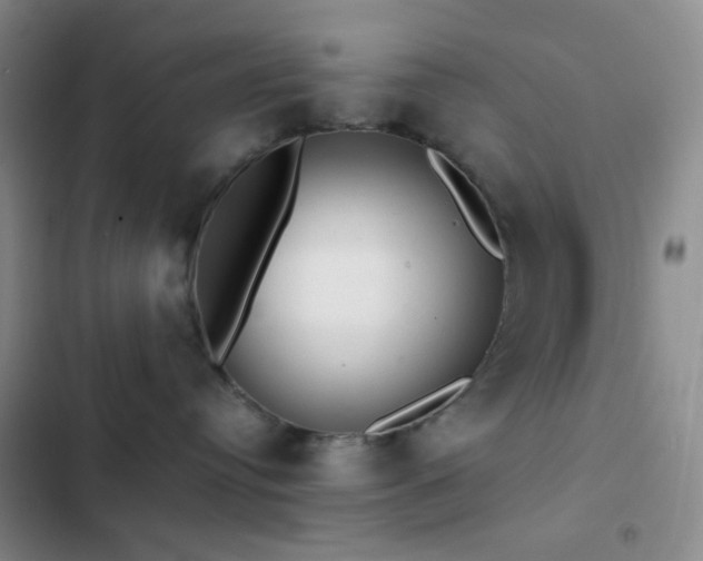 X0000103220384200808281413