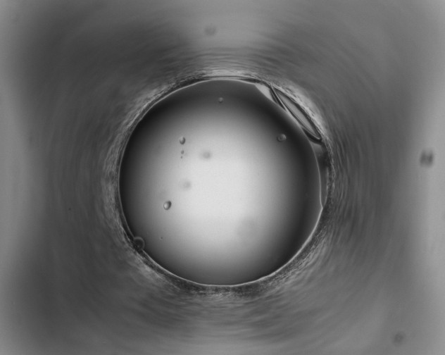 X0000103220385200808281413