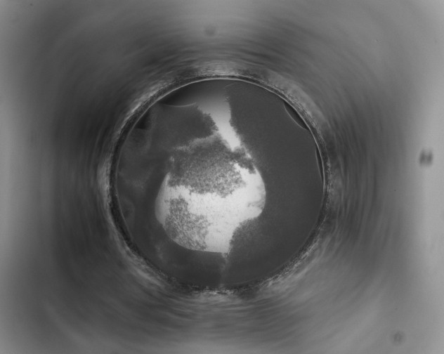 X0000103220386200808281413