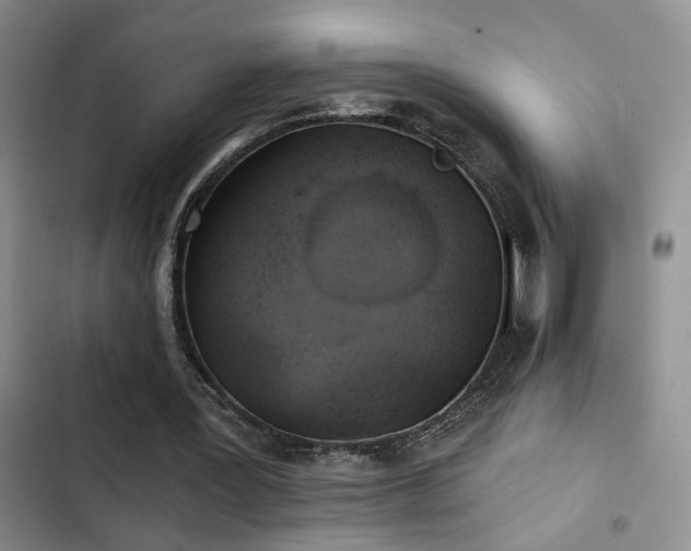 X0000103220387200808281413