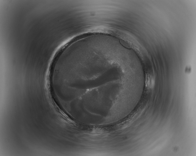 X0000103220388200808281413