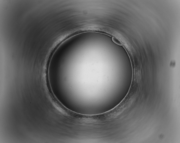 X0000103220389200808281412