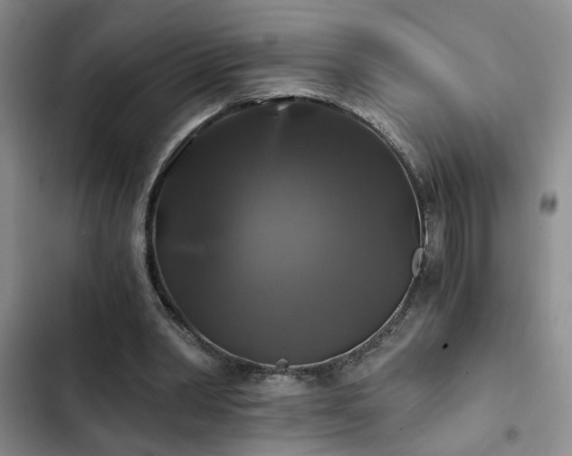 X0000103220390200808281412