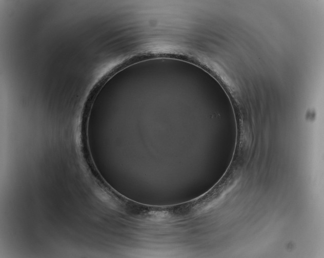 X0000103220391200808281412