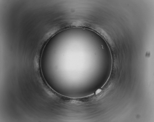 X0000103220393200808281412