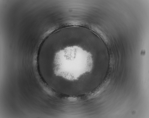 X0000103220394200808281412