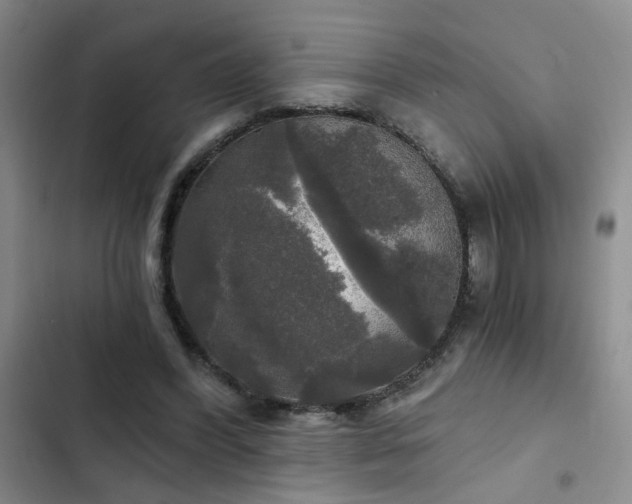 X0000103220396200808281412