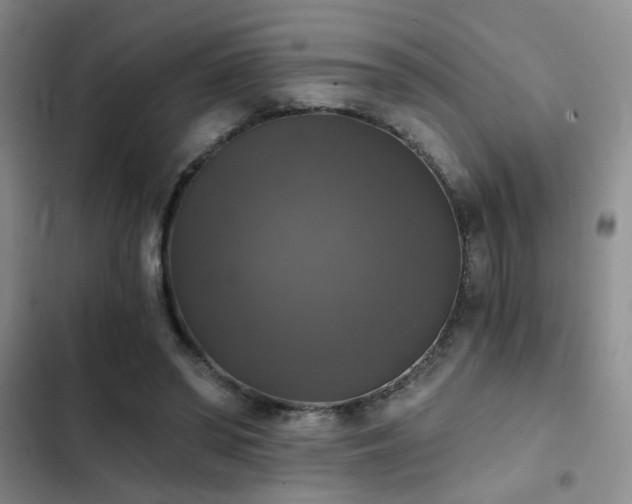 X0000103220398200808281412