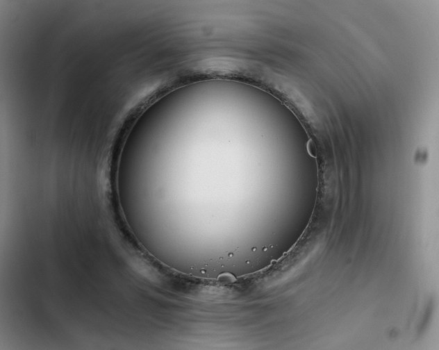 X0000103220399200808281412