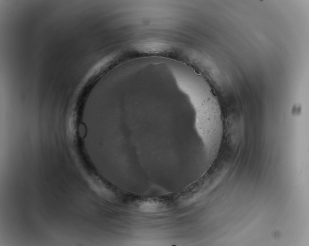 X0000103220400200808281412