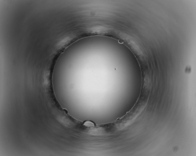 X0000103220403200808281412