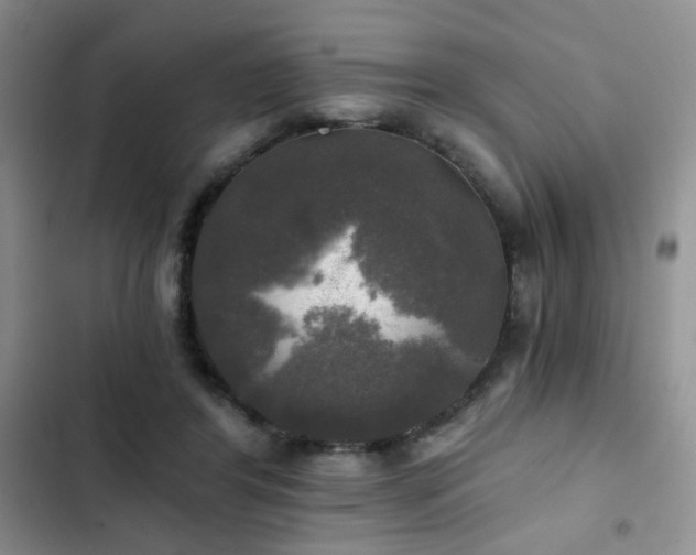 X0000103220404200808281412