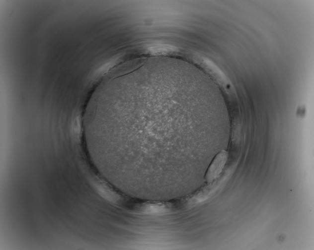 X0000103220405200808281412