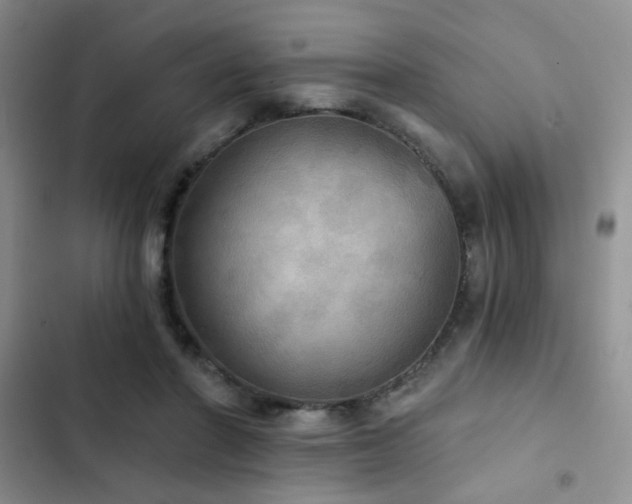 X0000103220406200808281412