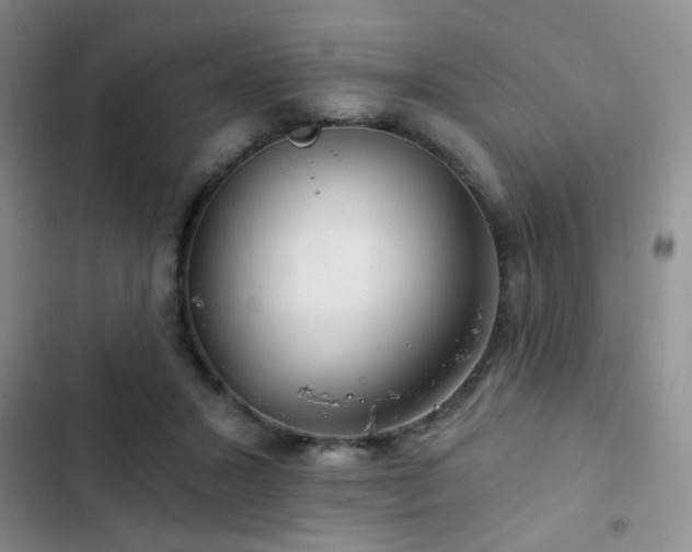 X0000103220407200808281412